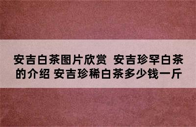 安吉白茶图片欣赏  安吉珍罕白茶的介绍 安吉珍稀白茶多少钱一斤